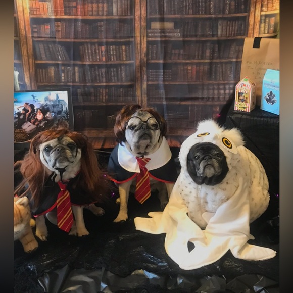 ☮️✅LIKE THIS LISTING TO KNOW IM LIVE☮️✅                      🎉🎉LETS PARTY🎉🎉 - Picture 6 of 6